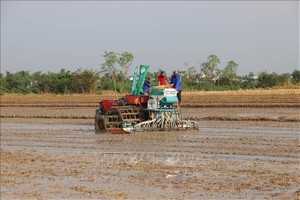 在农田展示三合一插秧农机。（图：越通社）