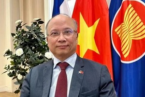 2024 年越法关系迈上新台阶