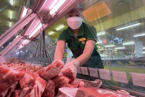 图为本市平新郡绿色百货超市的售货员正在给货架上摆放猪肉。（图：黄雄）