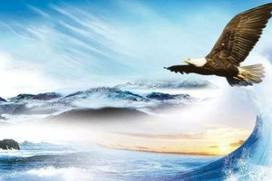 （示意图：互联网）