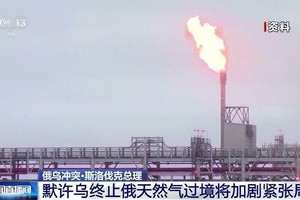 （图：CCTV视频截图）