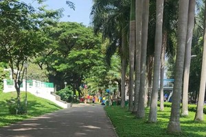 本市力争至2030年人均绿树空间在1平方米以上。（图：清贤）