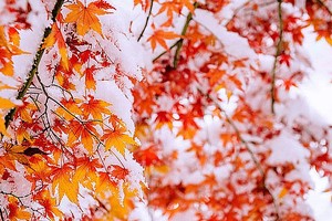 （示意图：互联网）