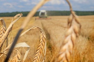 （示意图：互联网）