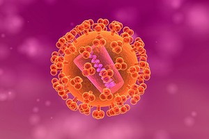 爱滋病病毒。（示意图：互联网）