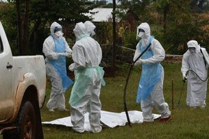 坦桑尼亚确认该国首次出现马尔堡病毒病病例。（图：WHO）