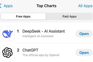（图：苹果美国区应用商店）