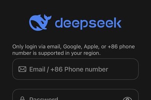 DeepSeek登录界面。（图：韩联社）