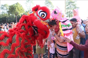 平阳迎春龙狮联欢被列入越南纪录