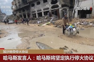 （图：CCTV 视频截图）