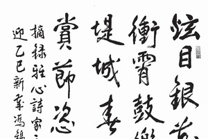 冯锦萍书法作品欣赏