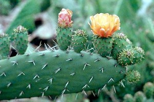 （示意图：互联网）