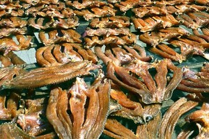 未按规定在36个月内参与评估，生鱼干产品被撤销三星级OCOP认证。