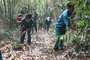 蒲嘉满国家公园保护社群正在清理灌丛，加强森林火灾隐患排查。