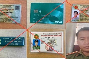 范文草与虚假证件。