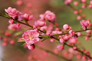 （示意图：互联网）