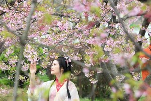 （示意图：互联网）
