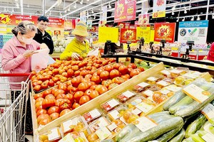 客户前往新富郡某超市购买果蔬。