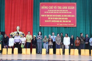 国家副主席武氏映春探望并与崑嵩省举行会议