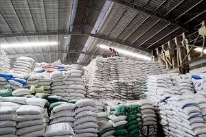 隆安省守承县杨宇有限公司的大米仓库一隅。（图：越通社）