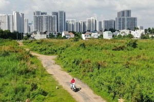本市正绘制并盘点土地使用地图。
