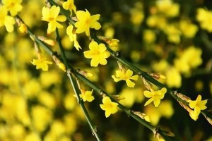 （示意图：互联网）