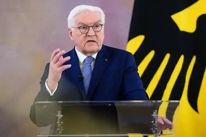 德国总统施泰因迈尔。（图：DPA）