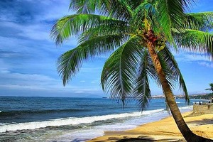 （示意图：互联网）