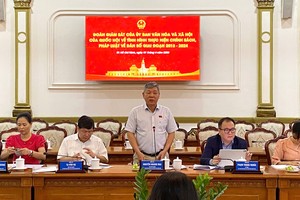 国会文化与社会委员会副主任阮黄梅（中）在会议上发言。（图：姜维）