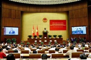 贯彻落实党十三届十一中全会《决议》