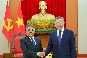 将越菲贸易提升到 100 亿美元目标