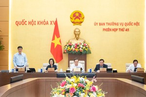 国会副主席武鸿清（站）在会议上发言。（图：国会）