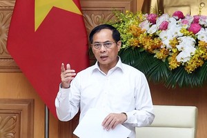 政府副总理裴青山在会议上发表讲话。（图：VGP）