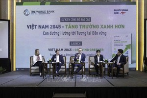 各位经济专家参加2045年越南绿色经济永续发展讨论报告。