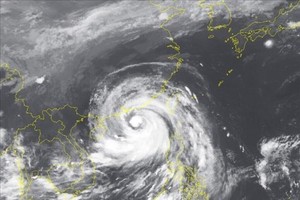 今起至6月20日东海区域可能出现气旋。（示意图：越通社）
