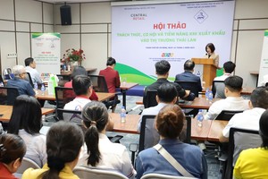 研讨会现场。（图：VGP）