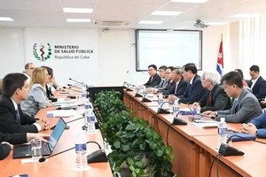 越南代表团与古巴卫生部举行工作会议。（图：越通社）