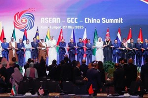 与会代表合影。（图：越通社）