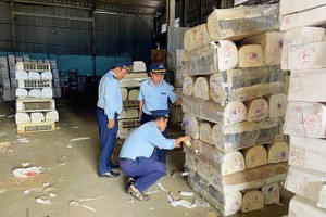 平阳省将启动重点检查管控，严厉打击走私、商业欺诈、赝品等违法犯罪活动。（示意图：A.X）