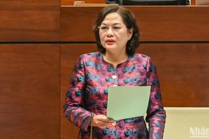 国家银行行长阮氏红在讨论会上发言。（图：人民报）