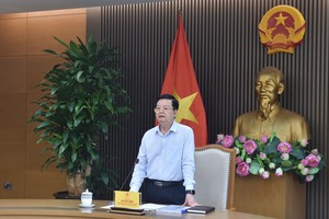 政府副总理梅文政主持会议并发言。（图：VGP）