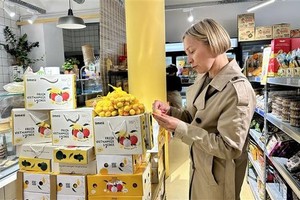 2025年海阳省首批荔枝在法国超市上架。（图：越通社）