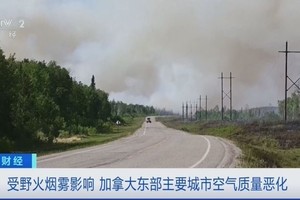 加国东部主要城市因野火烟雾空气质量恶化。（视频截图）