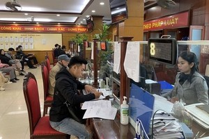 一站式、联通一站式机制的行政手续办理自今年7月1日起生效。（示意图：芳草）