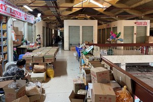 平西市场许多摊位已歇业。