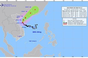 1号台风北移 风力11级