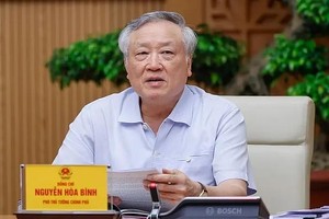 政府常务副总理阮和平。（图：VGP）