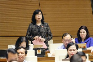 卫生部长陶红兰（站）在讨论会上发言。（图：越通社）