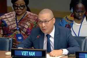 越南常驻联合国代表团副团长阮黄原公使衔参赞出席了会议。（图：越通社）