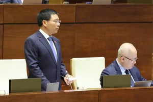 财政部长阮文胜回答国会代表的质询。